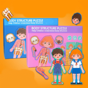 بازل تشريح الجسم