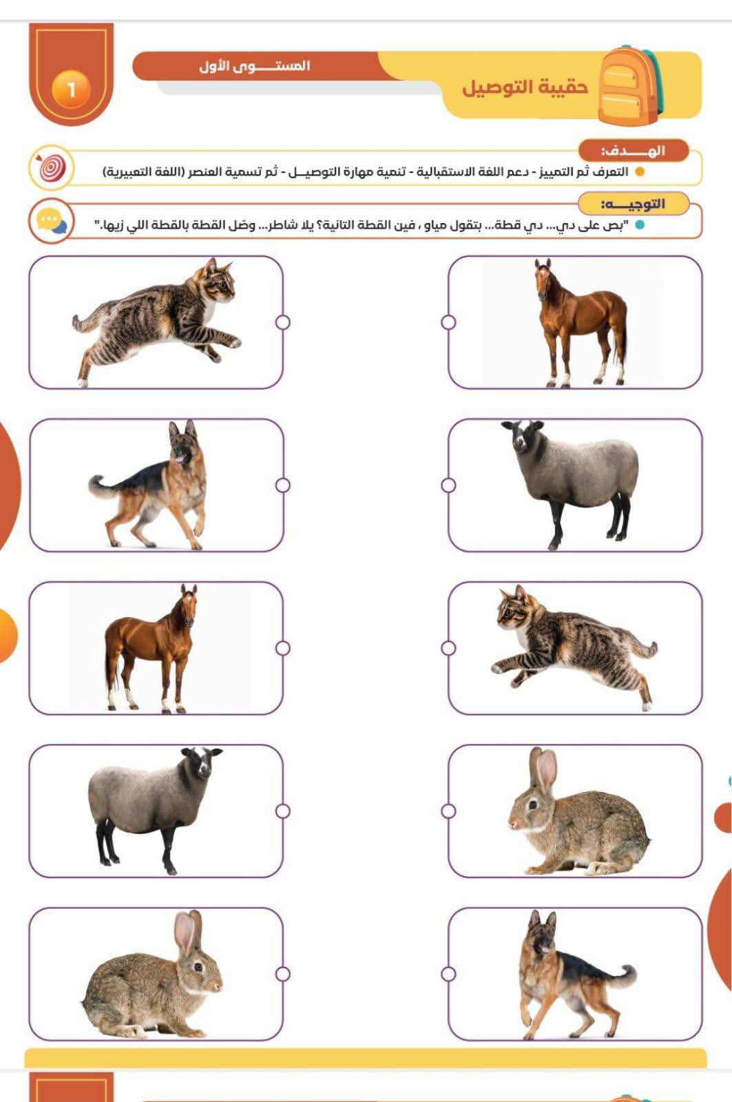 حقيبة التوصيل - الصورة 5